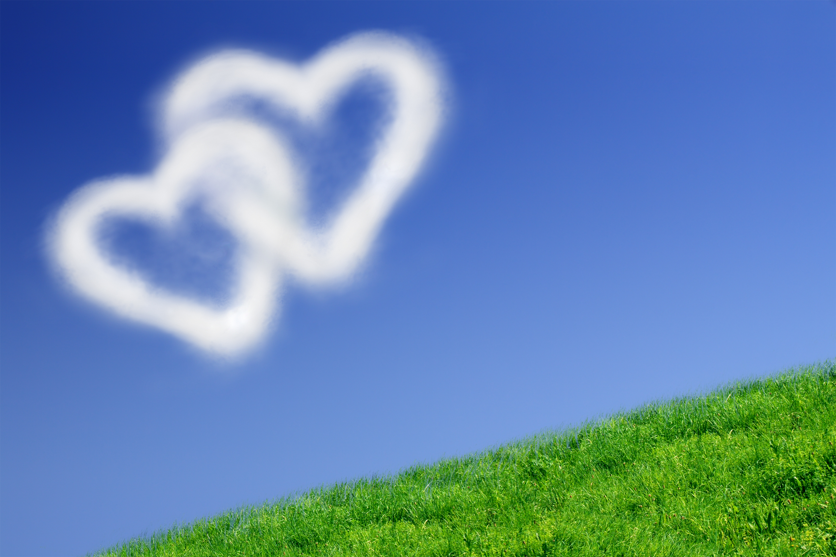 Love-is-In-the-Air